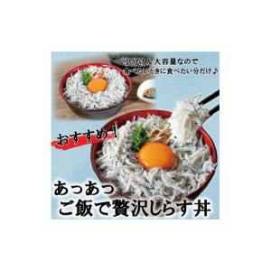 ふるさと納税 魚貝類 しらす 愛媛県 松山市 ...の詳細画像3