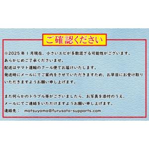 ふるさと納税 魚貝類 しらす 愛媛県 松山市 ...の詳細画像4