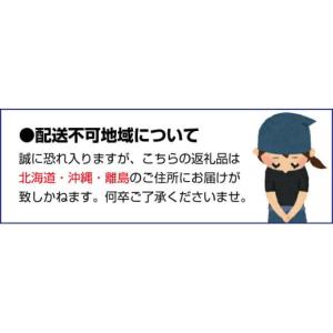 ふるさと納税 果物類 和歌山県 広川町 青梅 ...の詳細画像3