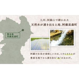 ふるさと納税 無洗米 熊本県 高森町 令和7年...の詳細画像2