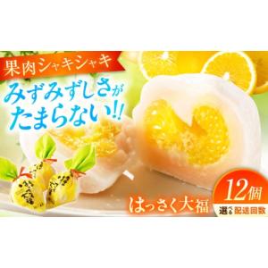 ふるさと納税 饅頭・羊羹・大福 広島県 福山市 全12回定期便 お菓子 はっさく大福12個入 お菓子 大福 八朔 柑橘 みかん オレンジ 餅 ギフト お取り寄せ スイ…
