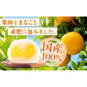 ふるさと納税 饅頭・羊羹・大福 広島県 福山市...の詳細画像2