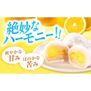 ふるさと納税 饅頭・羊羹・大福 広島県 福山市...の詳細画像3