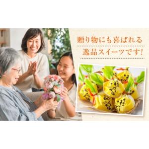 ふるさと納税 饅頭・羊羹・大福 広島県 福山市...の詳細画像5