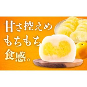 ふるさと納税 饅頭・羊羹・大福 広島県 福山市...の詳細画像4