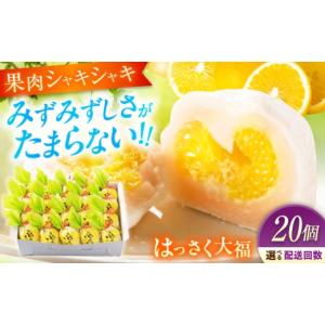 ふるさと納税 饅頭・羊羹・大福 広島県 福山市 全12回定期便 お菓子 はっさく大福20個入 お菓子 大福 八朔 柑橘 みかん オレンジ 餅 ギフト お取り寄せ スイ…