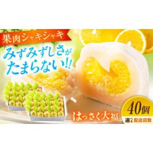 ふるさと納税 饅頭・羊羹・大福 広島県 福山市 全12回定期便 お菓子 はっさく大福20個入×2 お菓子 大福 八朔 柑橘 みかん オレンジ 餅 ギフト お取り寄せ ス…