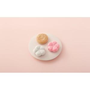 ふるさと納税 菓子 羊羹 京都府 南丹市 No...の詳細画像2