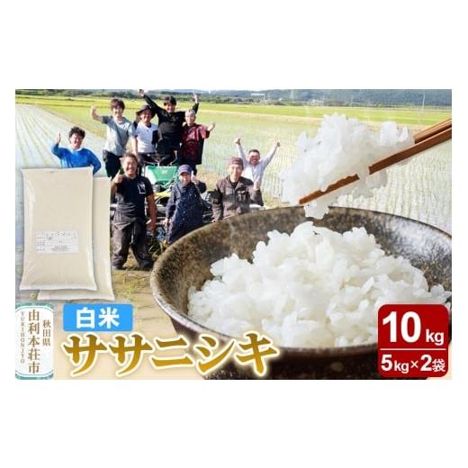 ふるさと納税 米 ササニシキ 秋田県 由利本荘市  白米 秋田県由利本荘市産 ササニシキ 10kg（...