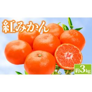ふるさと納税 果物類 みかん 香川県 丸亀市 みかん 約3kg 紅みかん 小原紅早生 柑橘 ミカン 蜜柑 オレンジ 果物 くだもの フルーツ 果実 ジューシー ジュース …｜ふるさとチョイス