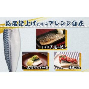 ふるさと納税 魚貝類 千葉県 銚子市 骨取り ...の詳細画像4