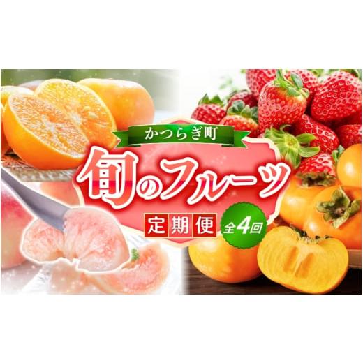 ふるさと納税 果物類 みかん 和歌山県 紀美野町  定期便4回 フルーツ王国かつらぎ町よりお届け 旬...