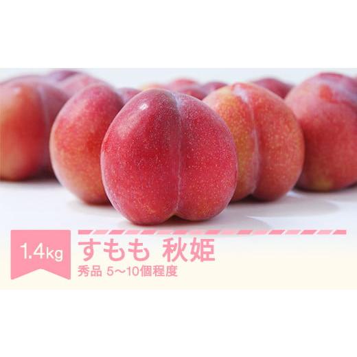 ふるさと納税 もも 山形県 村山市  先行予約 すもも 秋姫 果物 秀品 約1.4kg (5~10個...