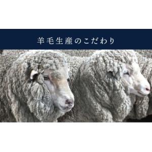 ふるさと納税 服 男 三重県 四日市市 オーダ...の詳細画像5