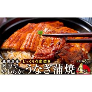 ふるさと納税 うなぎ 鹿児島県 大崎町 うなぎ ...の商品画像