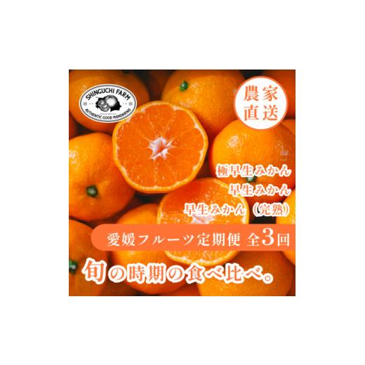 ふるさと納税 果物類 みかん 愛媛県 八幡浜市  発送月固定定期便 「時期による味の違いを楽しむ」愛...