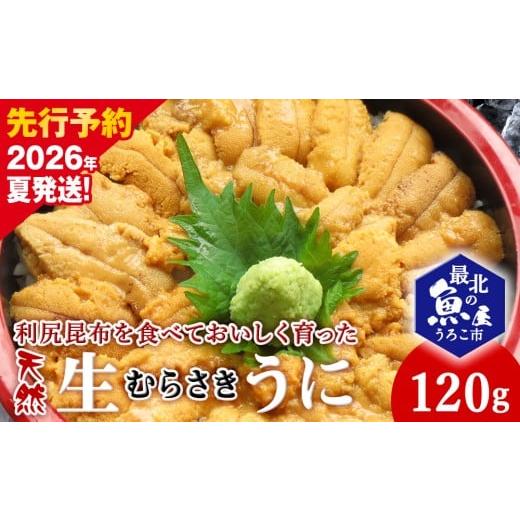 ふるさと納税 ウニ 北海道 稚内市  2026年発送 先行予約 利尻昆布を食べておいしく育った「生む...