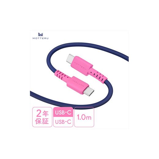 ふるさと納税 電化製品 神奈川県 海老名市 バイカラーケーブル USB-C to USB-C 60W...