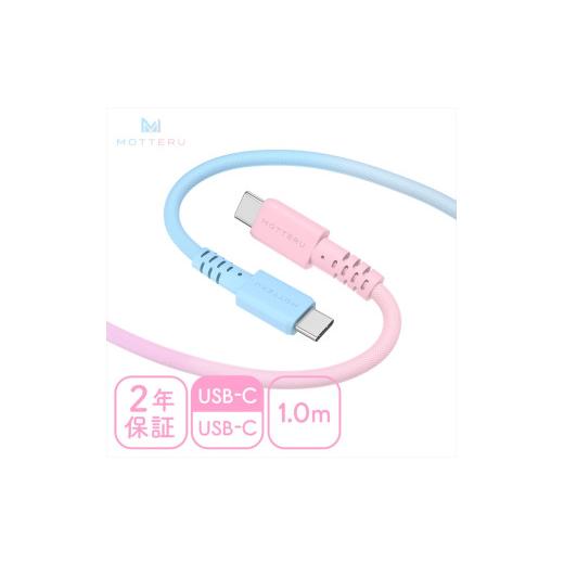 ふるさと納税 電化製品 神奈川県 海老名市 グラデーションケーブル USB-C to USB-C 6...