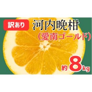 ふるさと納税 みかん・柑橘類 愛媛県 愛南町 先...の商品画像