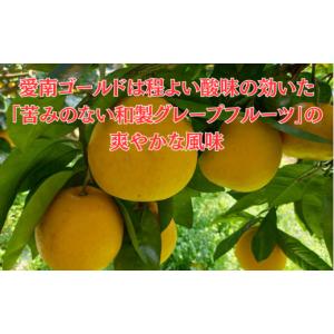 ふるさと納税 みかん・柑橘類 愛媛県 愛南町 ...の詳細画像2