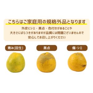 ふるさと納税 みかん・柑橘類 愛媛県 愛南町 ...の詳細画像4