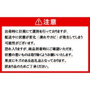 ふるさと納税 みかん・柑橘類 愛媛県 愛南町 ...の詳細画像5