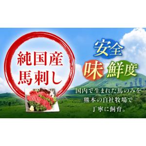 ふるさと納税 馬肉 熊本県 合志市 全12回定...の詳細画像3