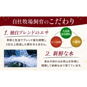 ふるさと納税 馬肉 熊本県 合志市 全12回定...の詳細画像4
