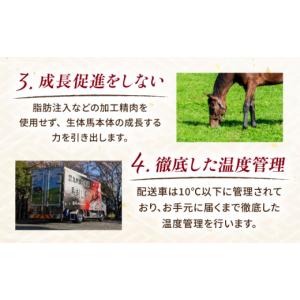 ふるさと納税 馬肉 熊本県 合志市 全12回定...の詳細画像5