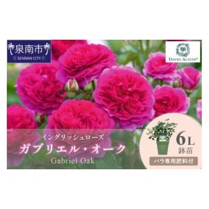 ふるさと納税 雑貨・日用品 花 大阪府 泉南市...の詳細画像1