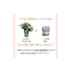ふるさと納税 雑貨・日用品 花 大阪府 泉南市...の詳細画像3