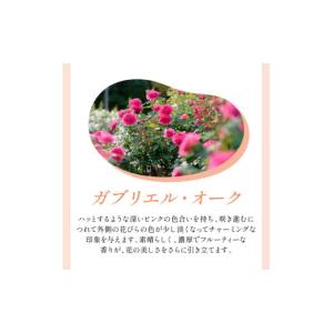 ふるさと納税 雑貨・日用品 花 大阪府 泉南市...の詳細画像4