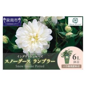 ふるさと納税 雑貨・日用品 花 大阪府 泉南市 ...の商品画像