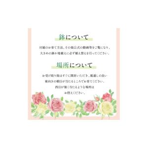 ふるさと納税 雑貨・日用品 花 大阪府 泉南市...の詳細画像5