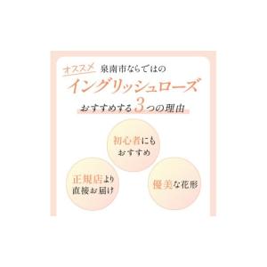 ふるさと納税 雑貨・日用品 花 大阪府 泉南市...の詳細画像2