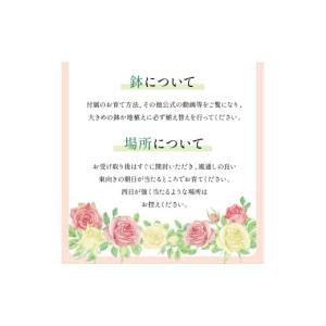 ふるさと納税 雑貨・日用品 花 大阪府 泉南市...の詳細画像5