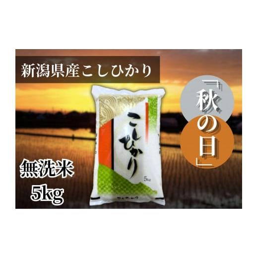 ふるさと納税 無洗米 新潟県 -  令和7年産 新潟県産こしひかり「秋の日」（無洗米5kg）新潟県の...