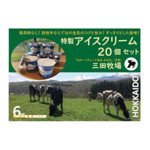 ふるさと納税 菓子 アイス 北海道 共和町 6ヵ月定期便 アイス 三田牧場 特製 アイスクリーム 4種類 20個セット ミルク チョコレート いちごみるく ラムレーズ…