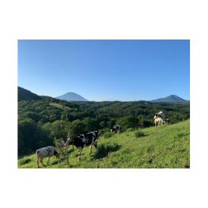 ふるさと納税 菓子 アイス 北海道 共和町 6...の詳細画像3