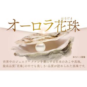 ふるさと納税 アクセサリー ネックレス 長崎県...の詳細画像2