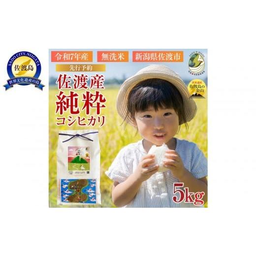 ふるさと納税 米 コシヒカリ 新潟県 佐渡市  新潟県佐渡 純粋コシヒカリ 数量限定 令和７年産 精...