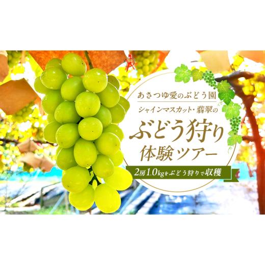 ふるさと納税 体験チケット 大阪府 岸和田市  先行予約・数量限定 人気の体験型返礼品2026年夏秋...