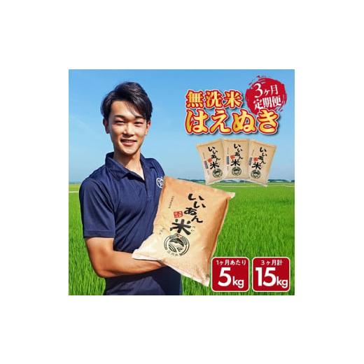 ふるさと納税 無洗米 山形県 酒田市  3回定期便 無洗米はえぬき　5kg×3回(計15kg)　農家...