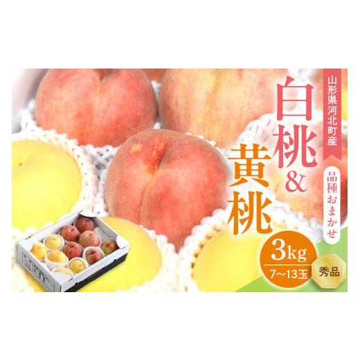 ふるさと納税 もも 山形県 河北町  令和8年産 白桃&amp;黄桃 3kg(7〜13玉前後) ギフト用 品...