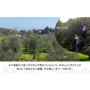 ふるさと納税 食用油 オリーブオイル 静岡県 ...の詳細画像3