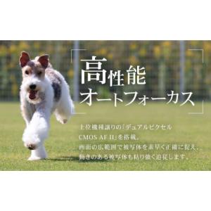 ふるさと納税 TV・オーディオ・カメラ 長崎県...の詳細画像5