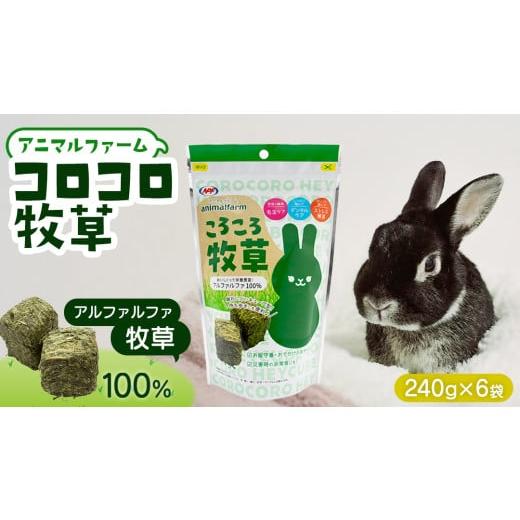 ふるさと納税 雑貨・日用品 茨城県 桜川市 アニマルファーム コロコロ牧草 240g × 6袋 小動...