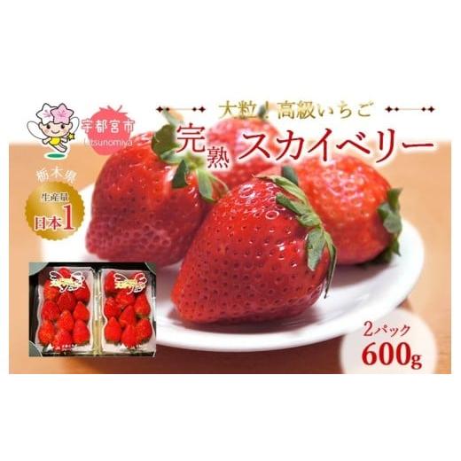 ふるさと納税 いちご 栃木県 宇都宮市  1月発送 高級いちご 完熟スカイベリー2パック 600g ...