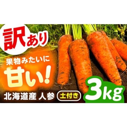 ふるさと納税 野菜類 人参 北海道 足寄町 北海道 訳ありにんじん 3kg（土付き）《足寄町》 餌取...